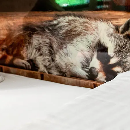 Apartment Krueseliner Muehle - Feldberger Seenlandschaft